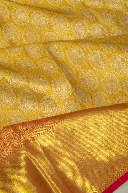 Taranga Kanchi Silk Tissue Brocade Gold Saree