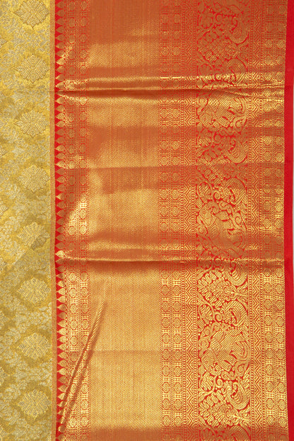 Taranga Kanchi Silk Tissue Brocade Gold Saree