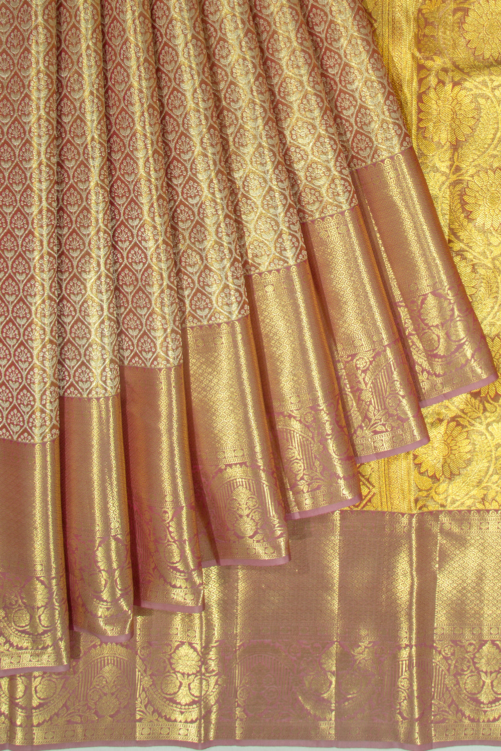 Taranga Kanchi Silk Tissue Brocade Gold Saree