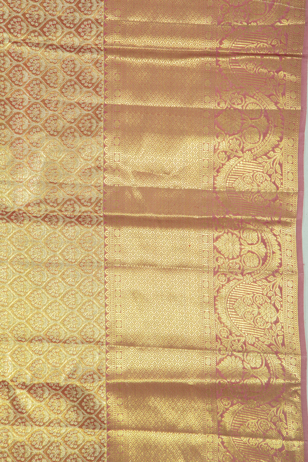 Taranga Kanchi Silk Tissue Brocade Gold Saree