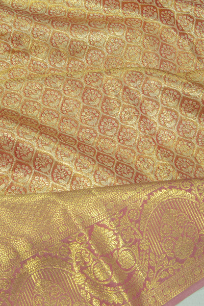Taranga Kanchi Silk Tissue Brocade Gold Saree