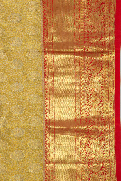 Taranga Kanchi Silk Tissue Brocade Gold Saree