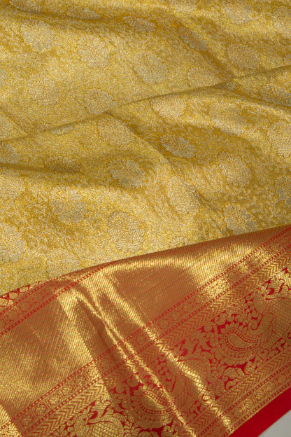 Taranga Kanchi Silk Tissue Brocade Gold Saree