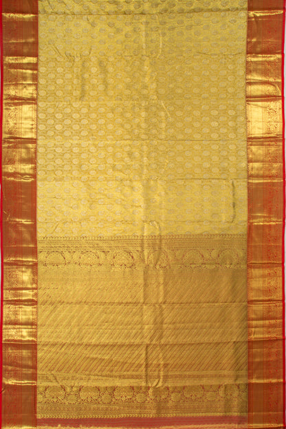 Taranga Kanchi Silk Tissue Brocade Gold Saree