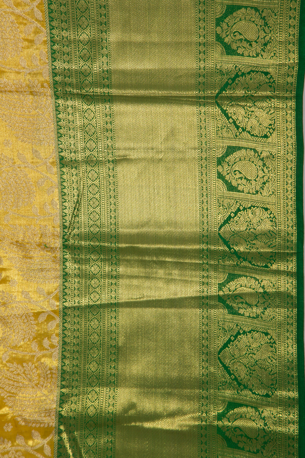 Taranga Kanchi Silk Tissue Jaal Yellow Saree