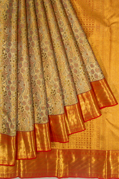 Taranga Kanchi Silk Tissue Brocade Gold Saree