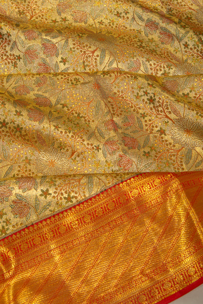 Taranga Kanchi Silk Tissue Brocade Gold Saree