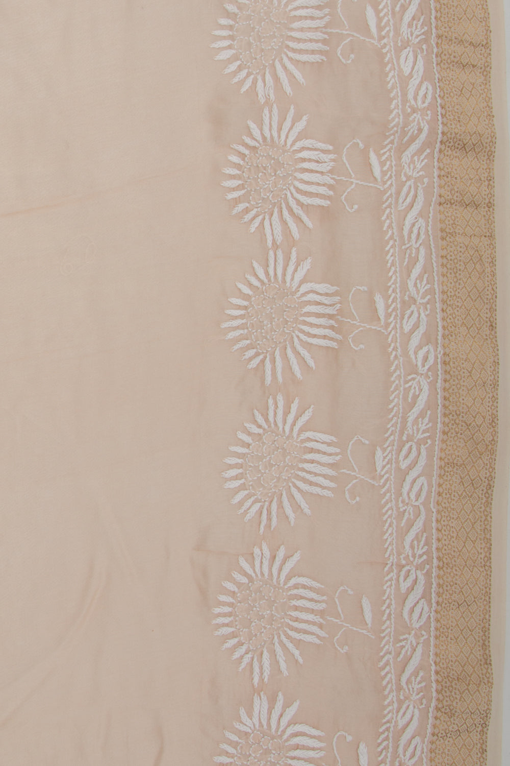 Lucknow Chikankari Cotton Pastel Brown Saree