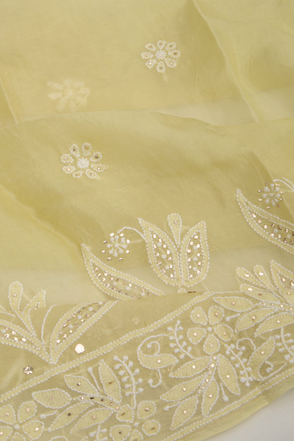 Lucknow Chikankari Organza Cream Saree