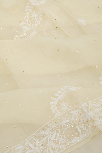 Lucknow Chikankari Organza Cream Saree