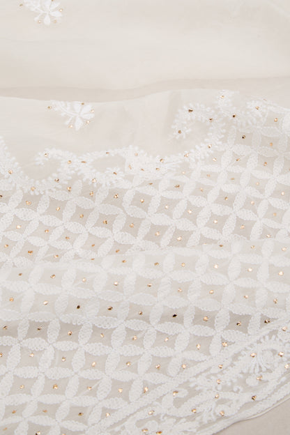 Lucknow Chikankari Organza White Saree