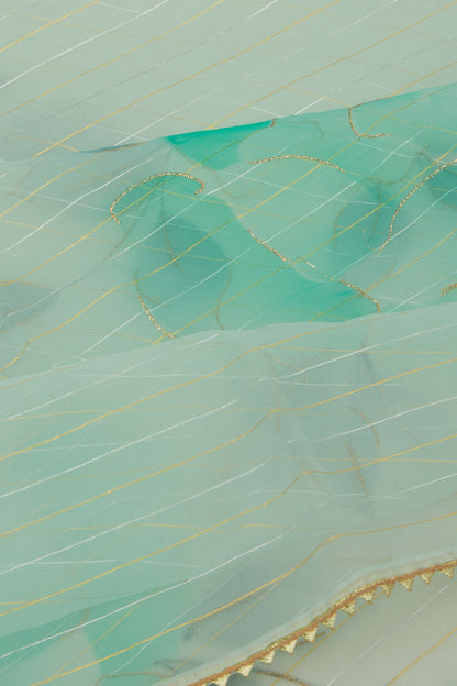 Organza Horizontal Lines And Printed Pastel Green Saree