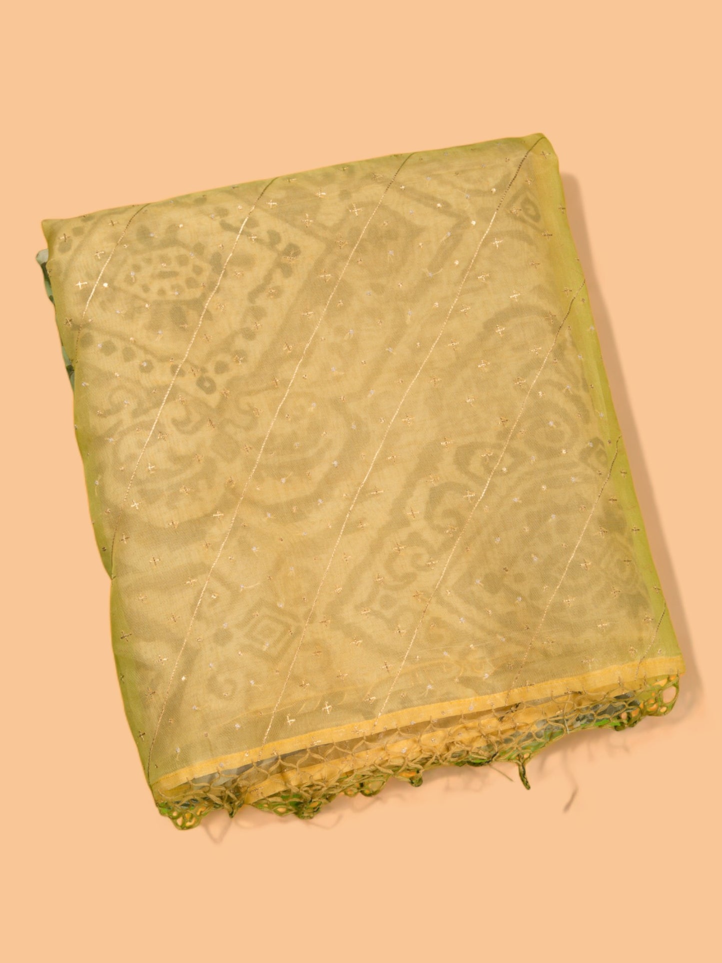 Organza Printed Cream Saree