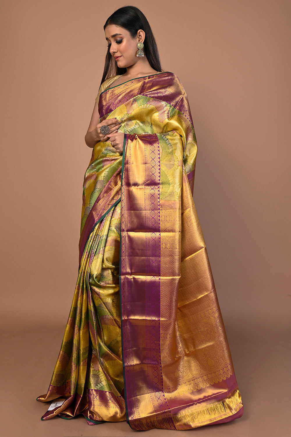 Kanchipuram Silk Tissue Brocade Multicolour Saree