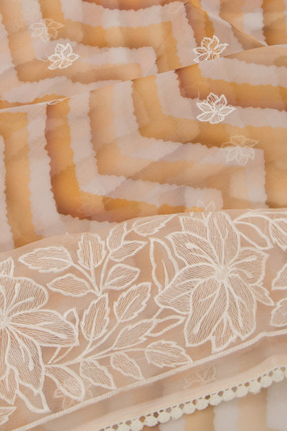 Organza Embroidery And Zig Zag Lines Cream Saree