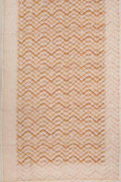 Organza Embroidery And Zig Zag Lines Cream Saree