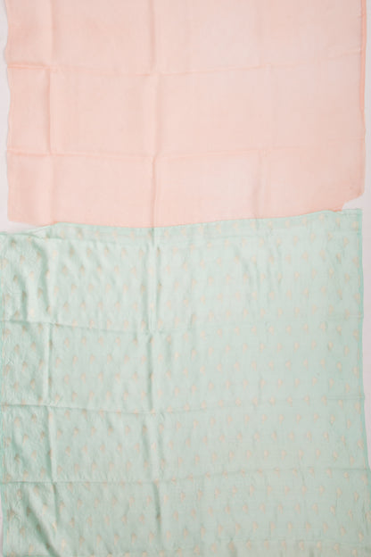 Organza Embroidery Butta Pastel Orange Saree