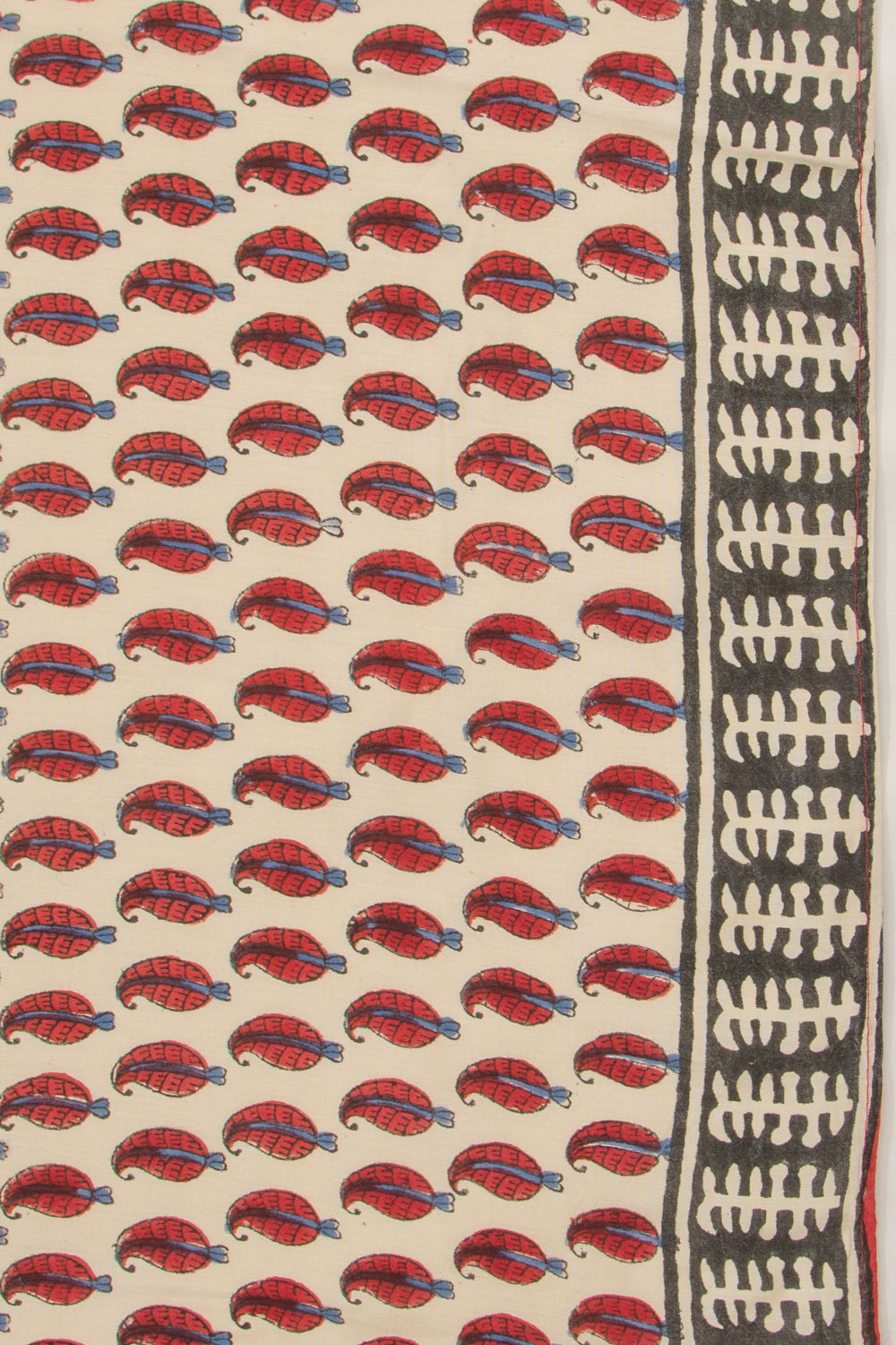 Chanderi Cotton Printed Cream Saree