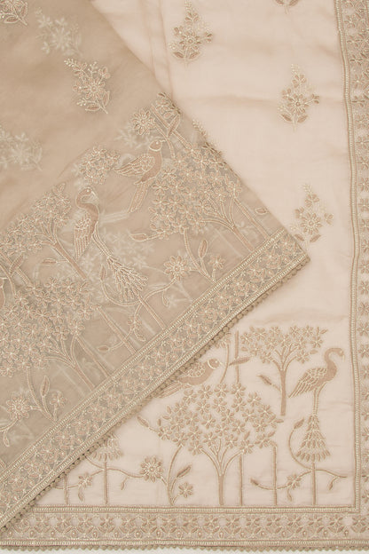 Organza Floral Embroidery Butta Cream Saree