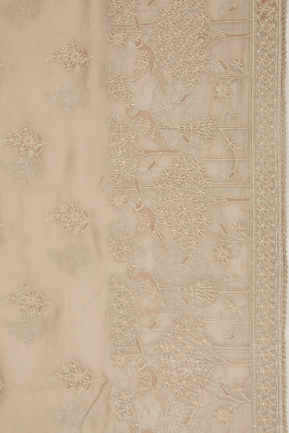 Organza Floral Embroidery Butta Cream Saree