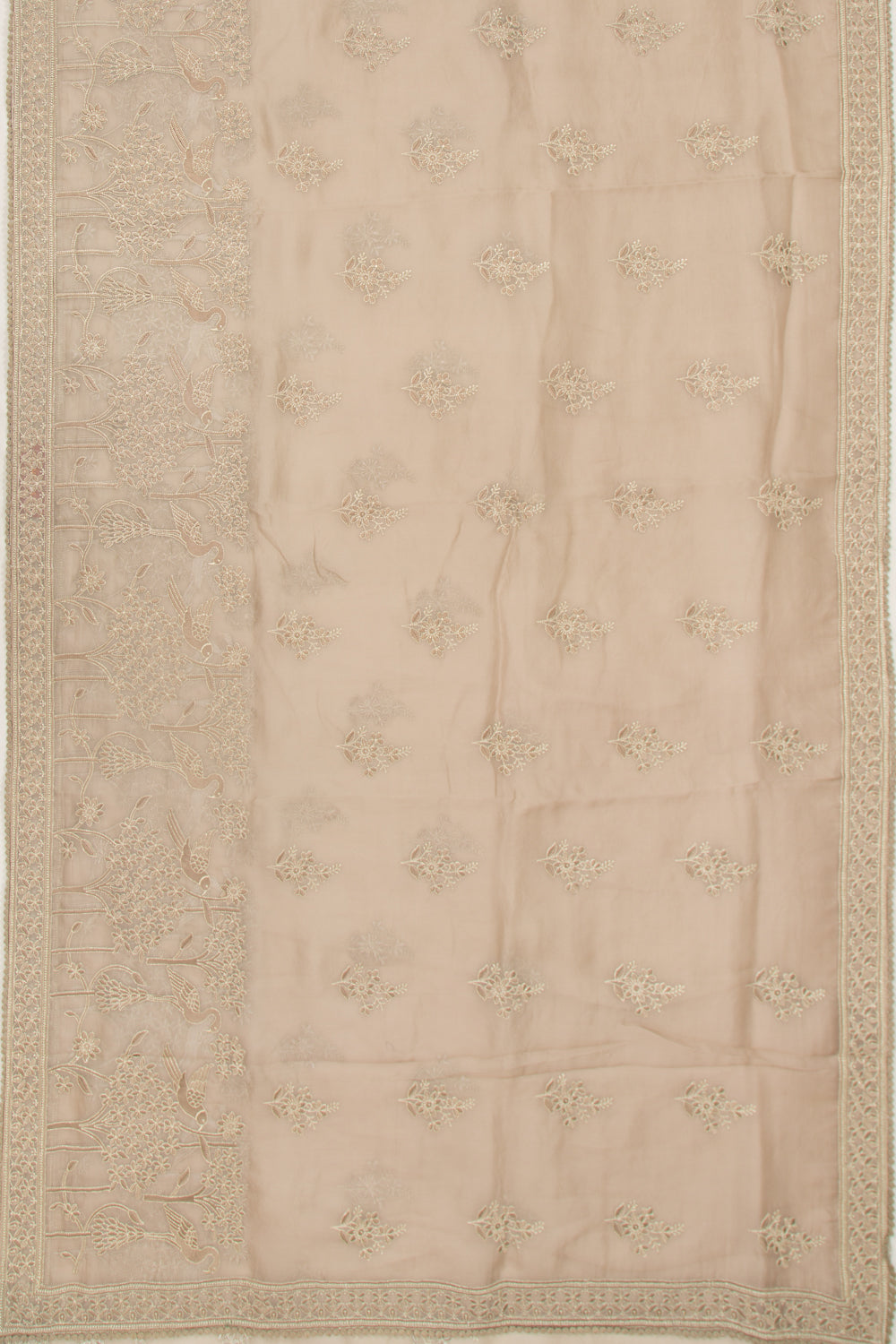 Organza Floral Embroidery Butta Cream Saree
