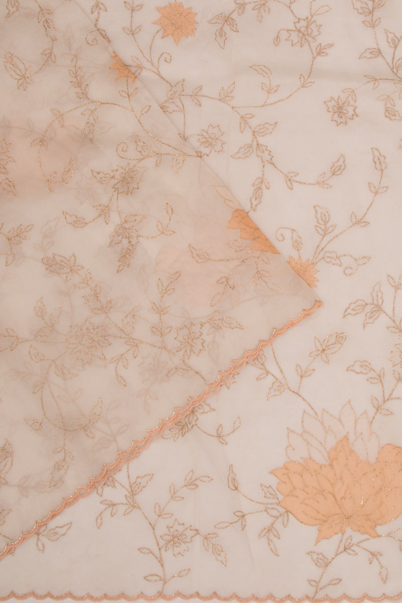 Organza Floral Embroidery Cream Saree