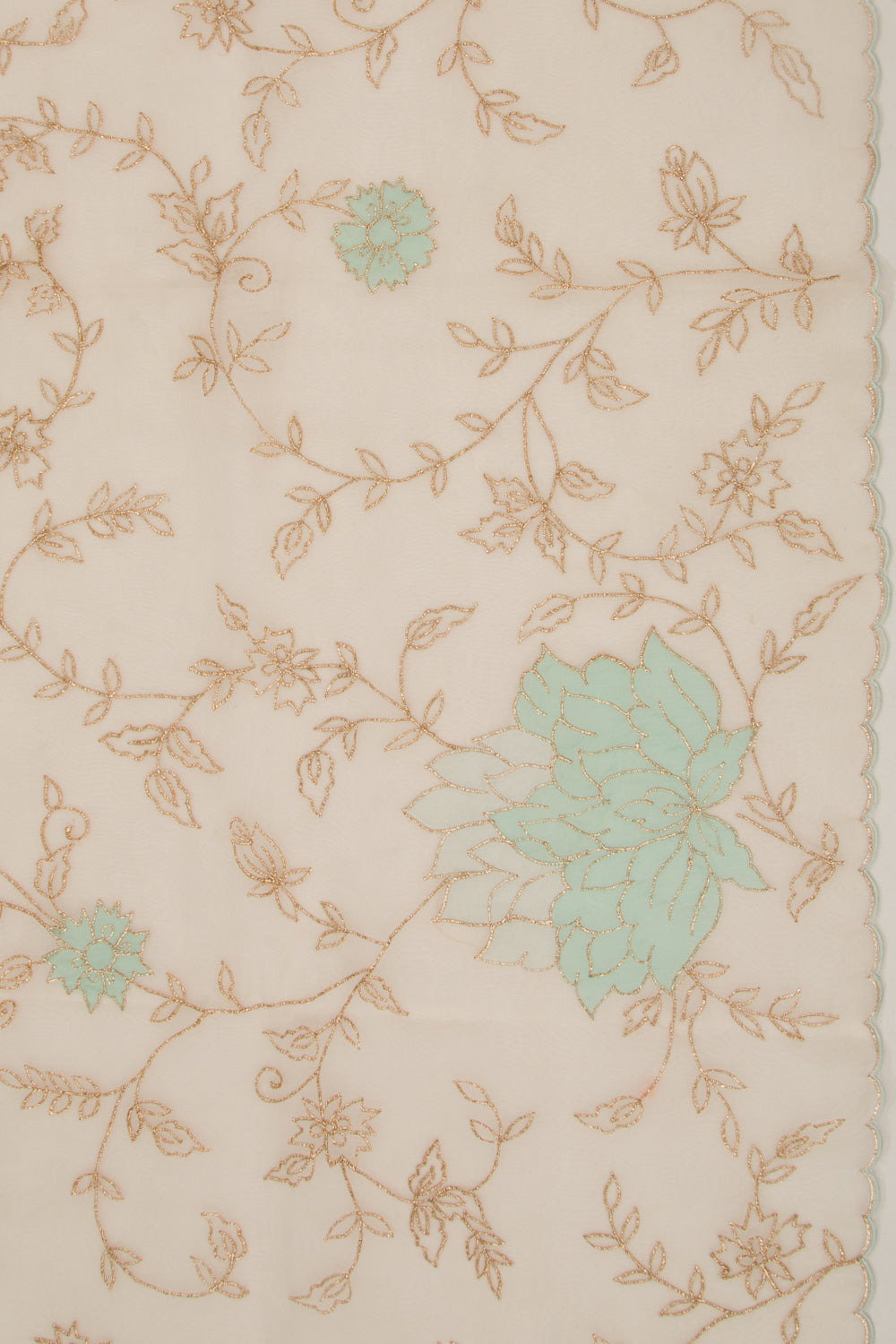 Organza Floral Embroidery Cream Saree