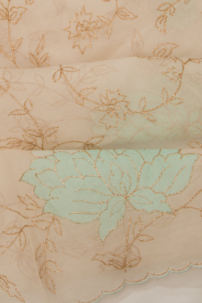 Organza Floral Embroidery Cream Saree