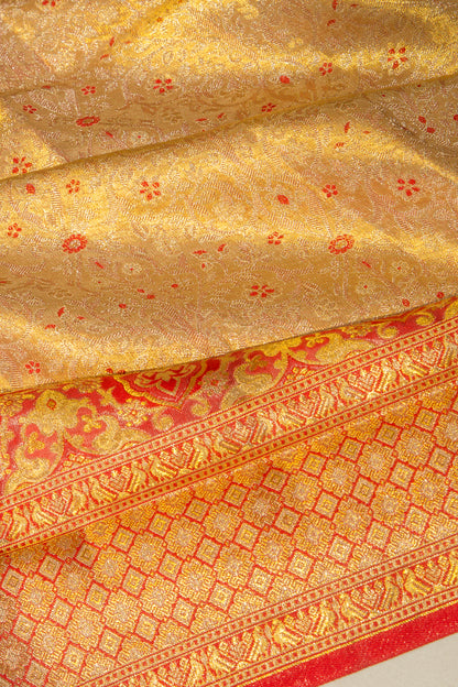Taranga Kanchi Silk Tissue Brocade Gold Saree