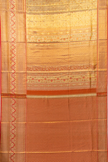 Taranga Kanchi Silk Tissue Brocade Gold Saree
