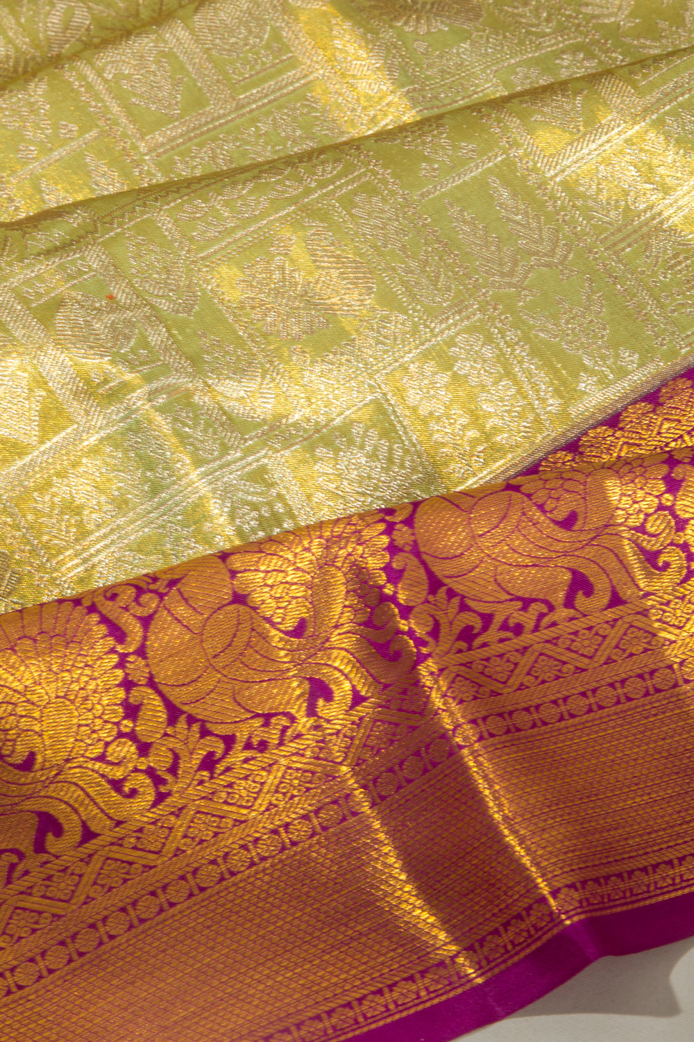 Taranga Kanchi Silk Tissue Brocade Green Saree