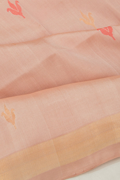 Uppada Silk Butta Cream Saree