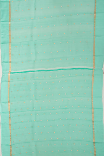 Organza Jaal Sea Green Saree