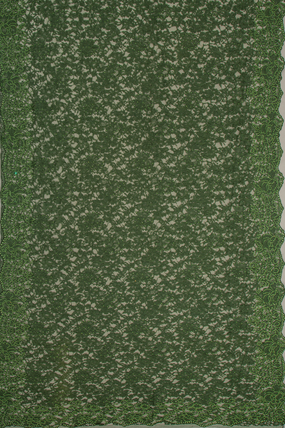 Chantilly Lace Green Saree With Stone Work