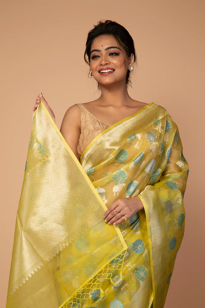 Banarasi Kora Organza Jaal Yellow Saree