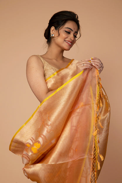 Banarasi Kora Organza Jaal Yellow Saree