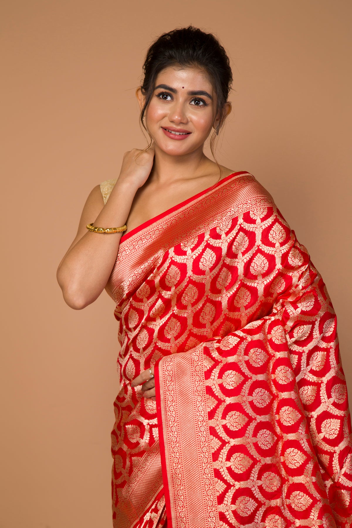 Banarasi Silk Jaal Red Saree