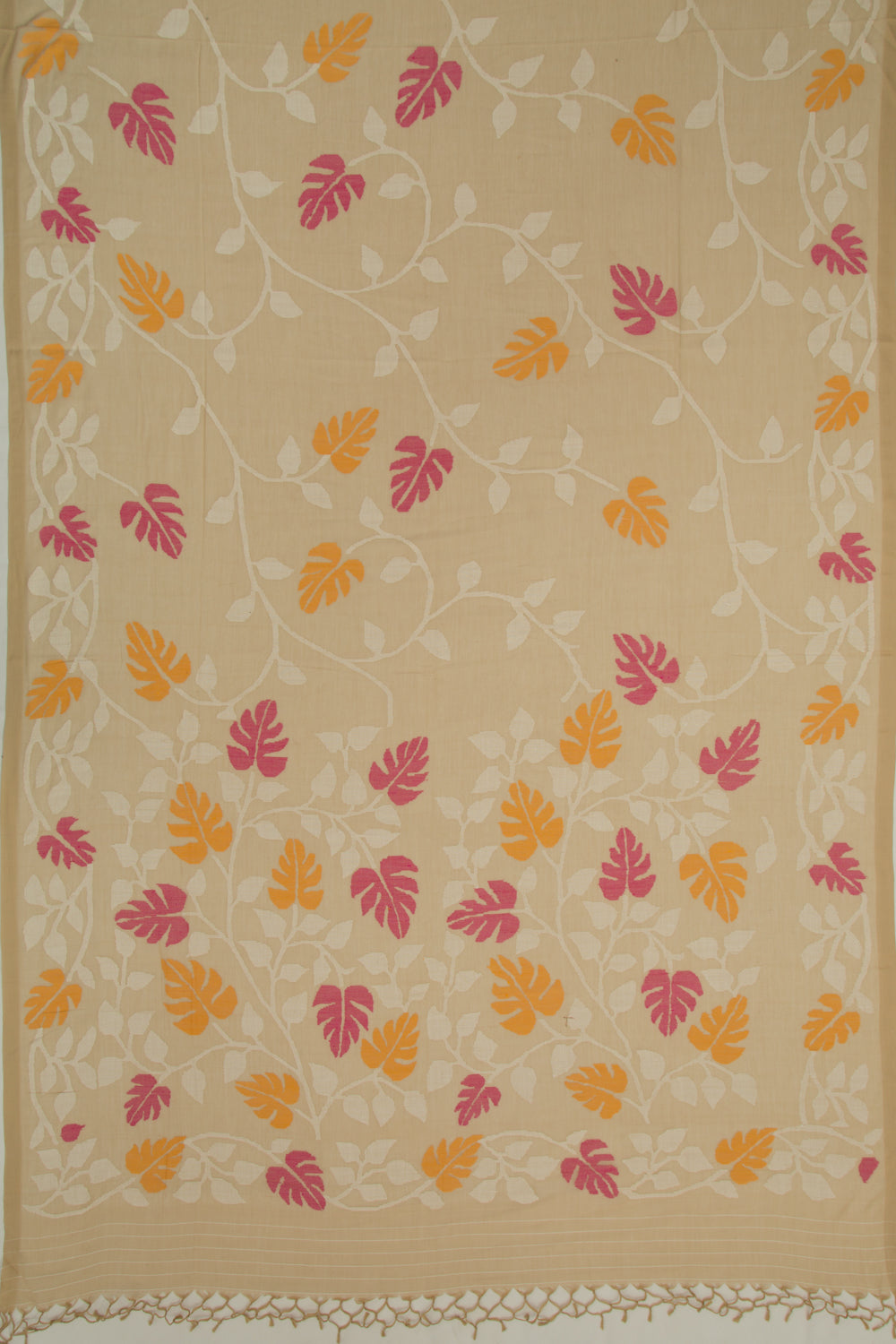 Phulia Cotton Jaal Beige Saree
