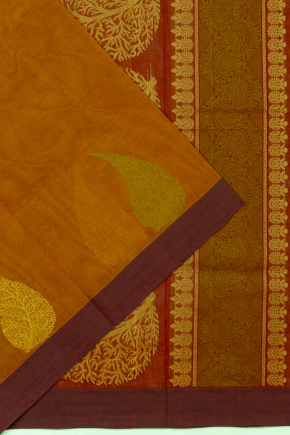 Handspun Cotton Plain Mustard Yellow Saree
