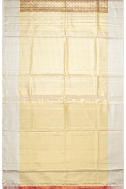 Taranga Kanchi Silk Tissue Brocade Gold Saree