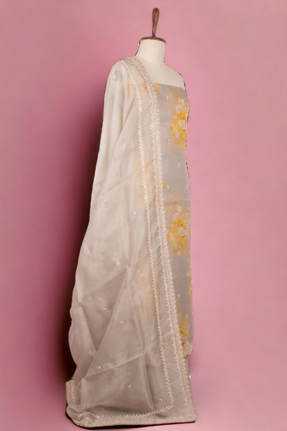Organza Pastel Grey Salwar Suit Set