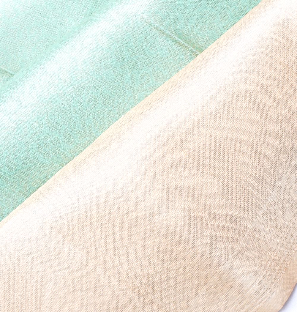 Coimbatore Silk Brocade Sea Green Saree