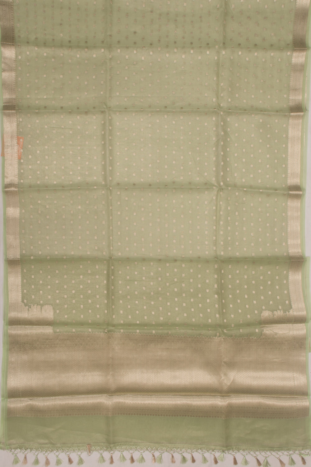 Organza Tissue Butta Pastel Green Saree