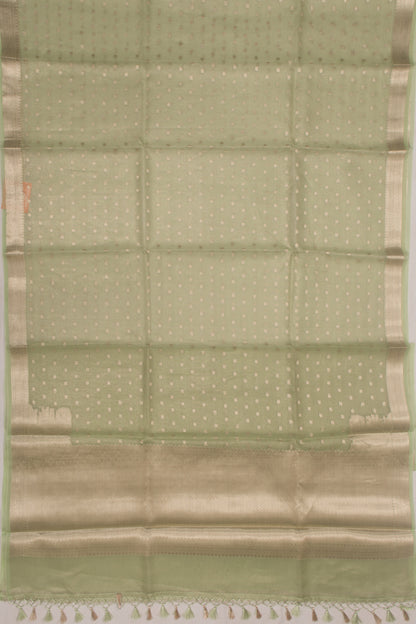 Organza Tissue Butta Pastel Green Saree