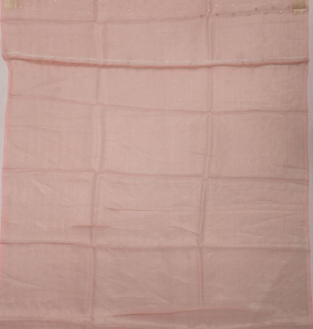 Organza Tissue Butta Pink Saree