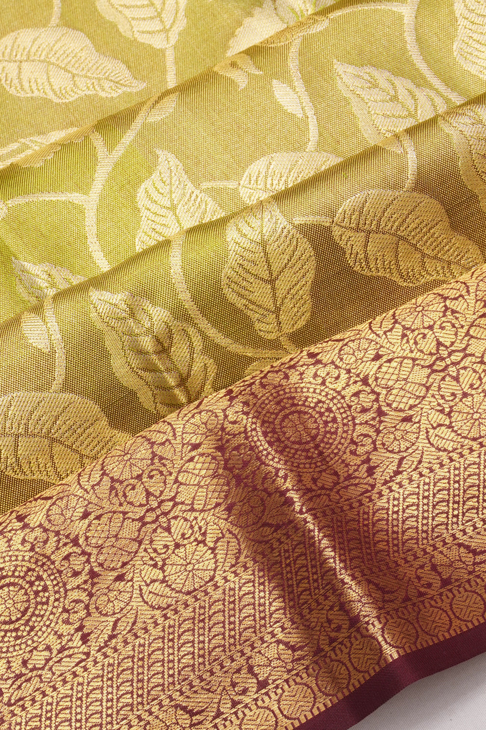 Taranga Kanchi Silk Tissue Brocade Pastel Green Saree
