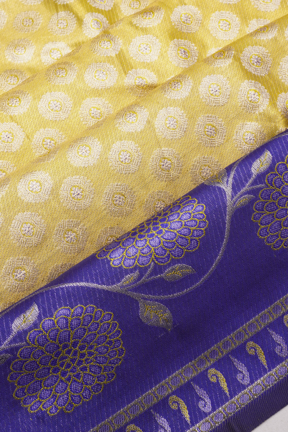 Taranga Kanchi Silk Tissue Brocade Gold Saree