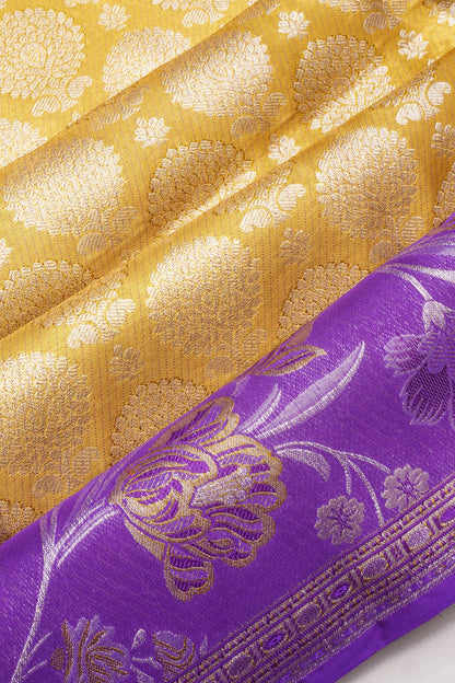 Taranga Kanchi Silk Tissue Brocade Gold Saree