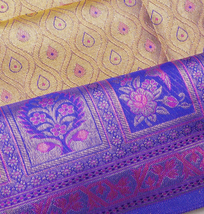 Taranga Kanchi Silk Tissue Brocade Gold Saree