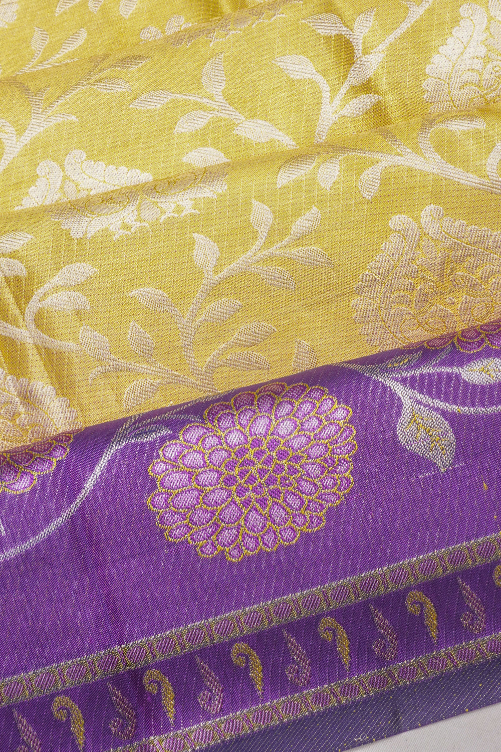Taranga Kanchi Silk Tissue Jaal Gold Saree